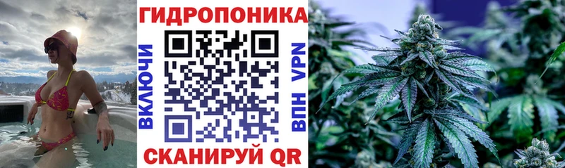 даркнет сайт  Суровикино  Шишки марихуана планчик 